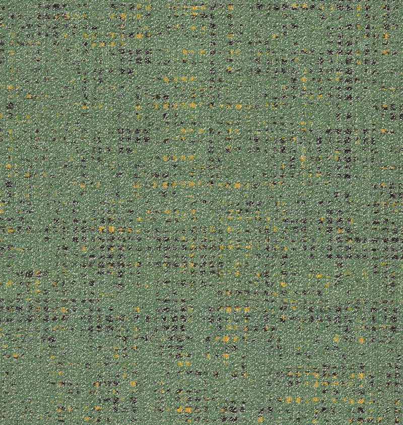 CF0084 (002) Limeleaf CP000241.webp