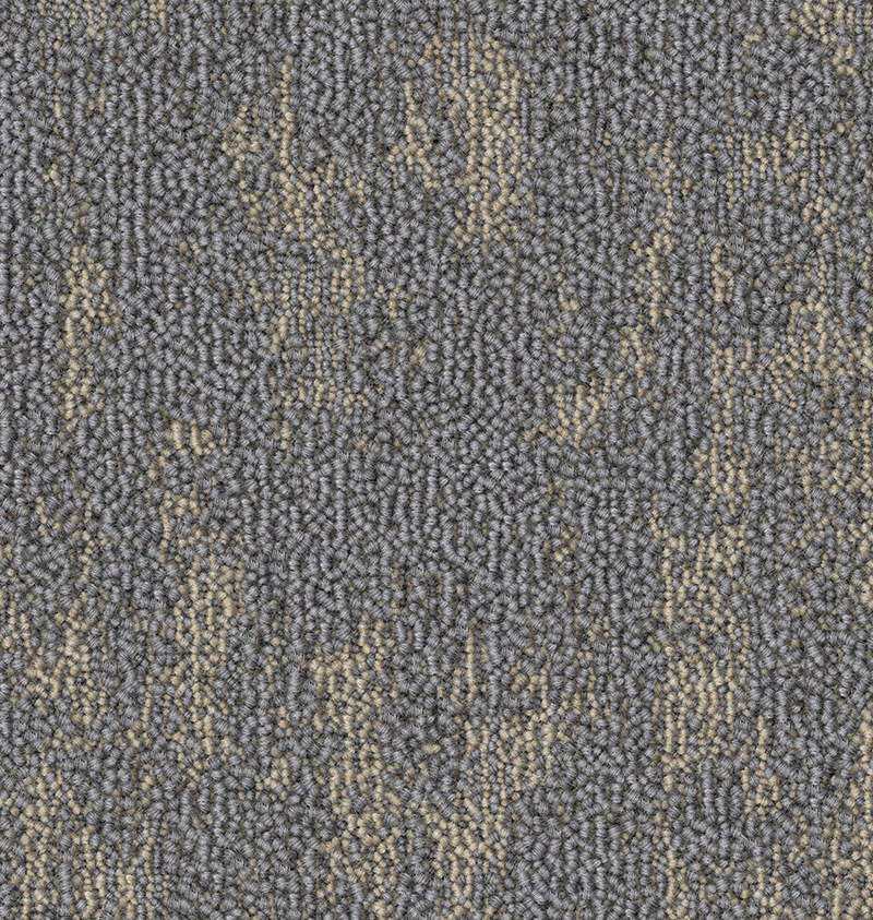 CF0086 (003) A copy.webp