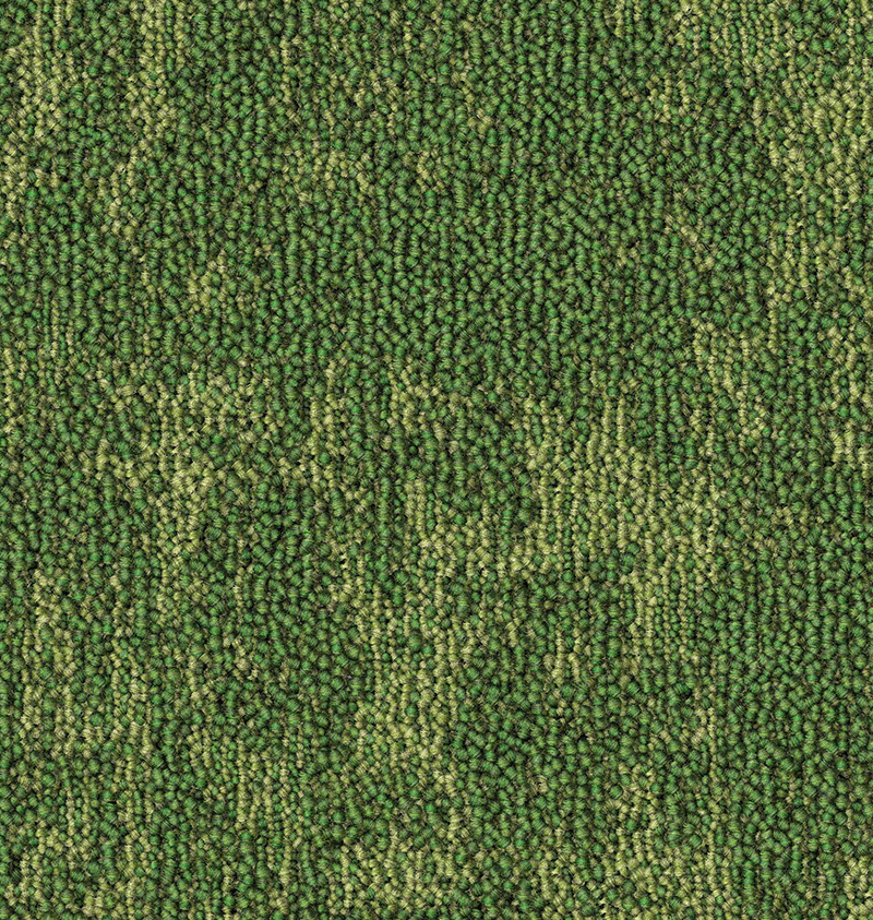 CF0086 (007) C copy.webp