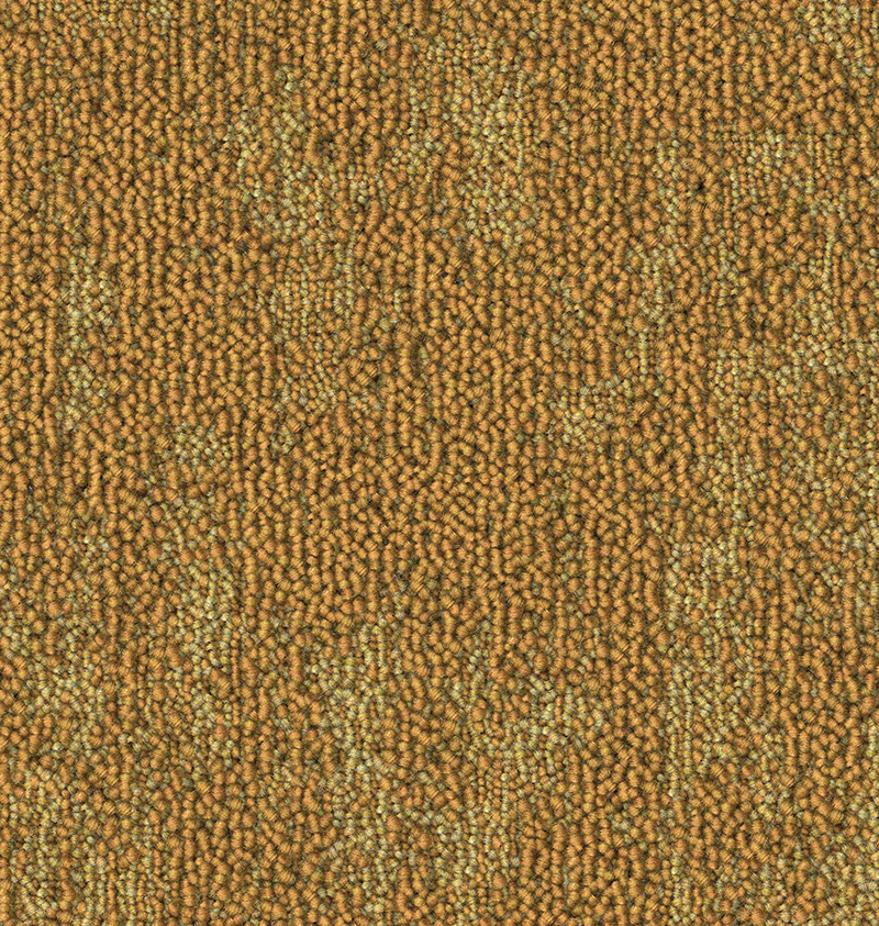 CF0086 (008) A copy.webp