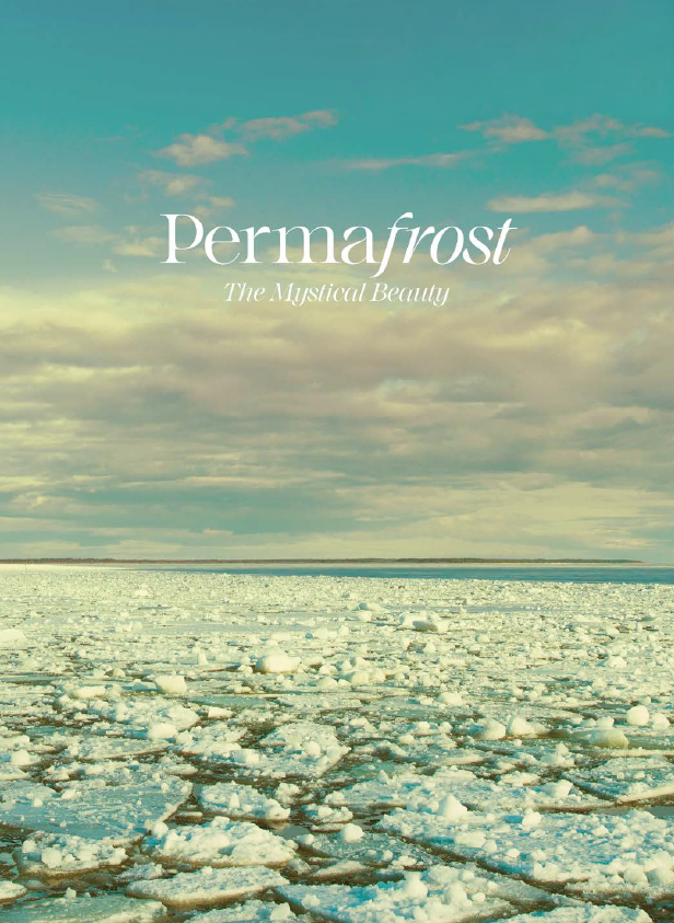 cover_page_4d435ad66e