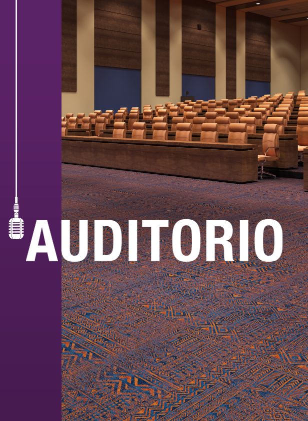 Auditorio_png_a88a9323a5