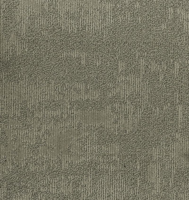 BODERLINE BEIGE 1.jpg