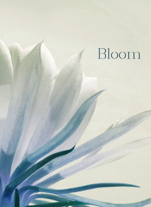 Bloom_ff21f16390