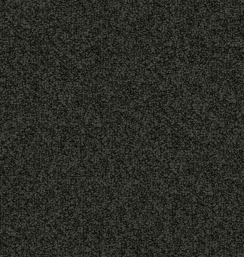 CA1233- CL+NN _1.png