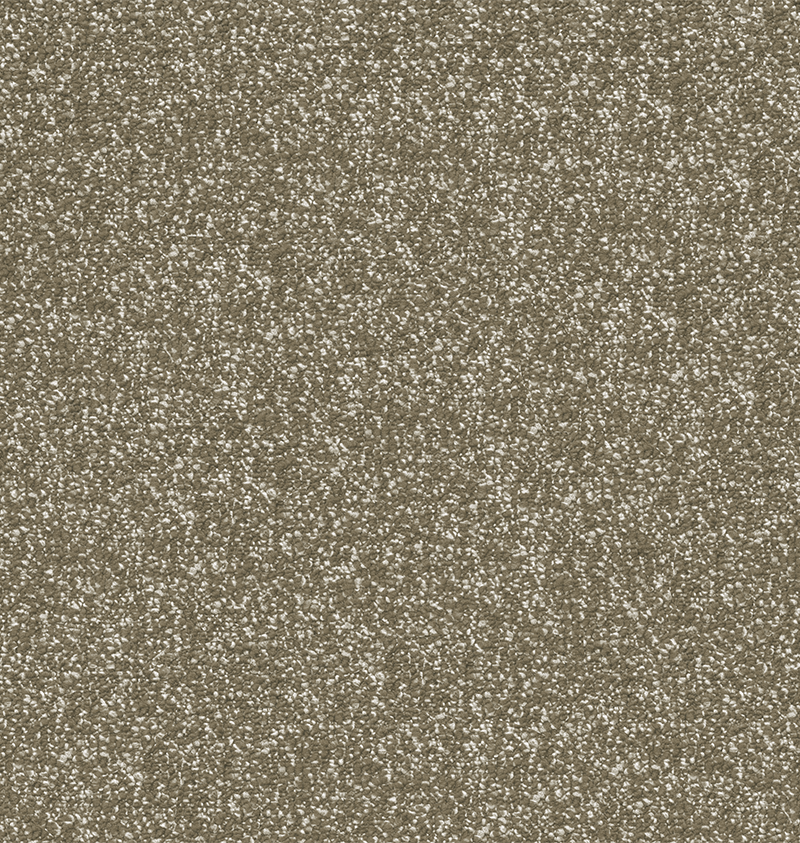 CA1233- FN+CK_1.png