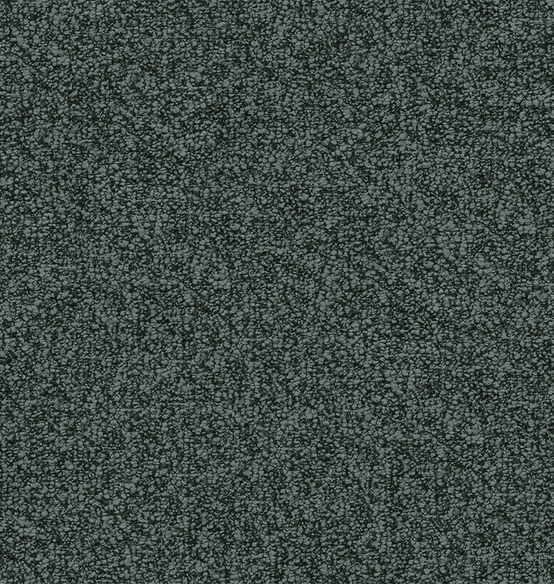 CA1233- FS+NN_1.png