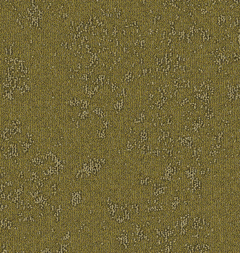 CA1395 (001)_palette1_1.jpg