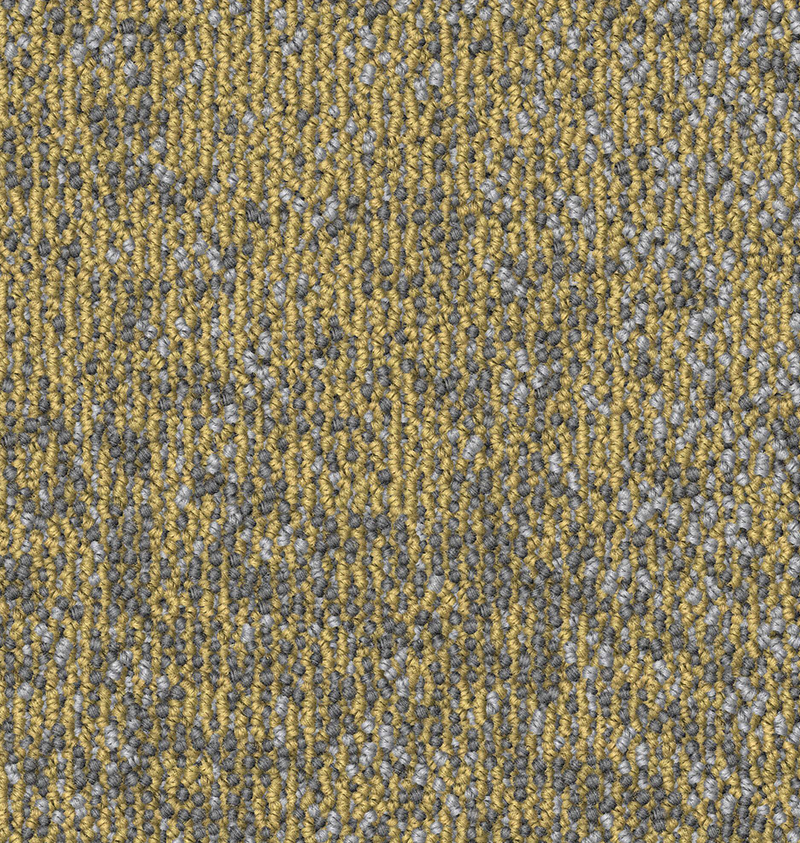 CA1407 (004) ACCENT_Colorway 1_1.png