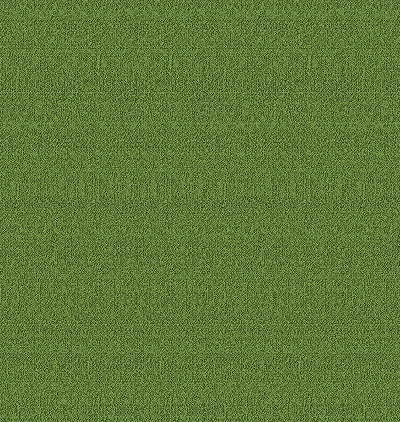 CTY00250-2.png