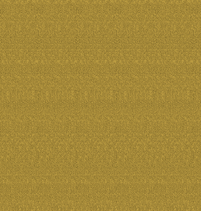 CTY00251-2.png