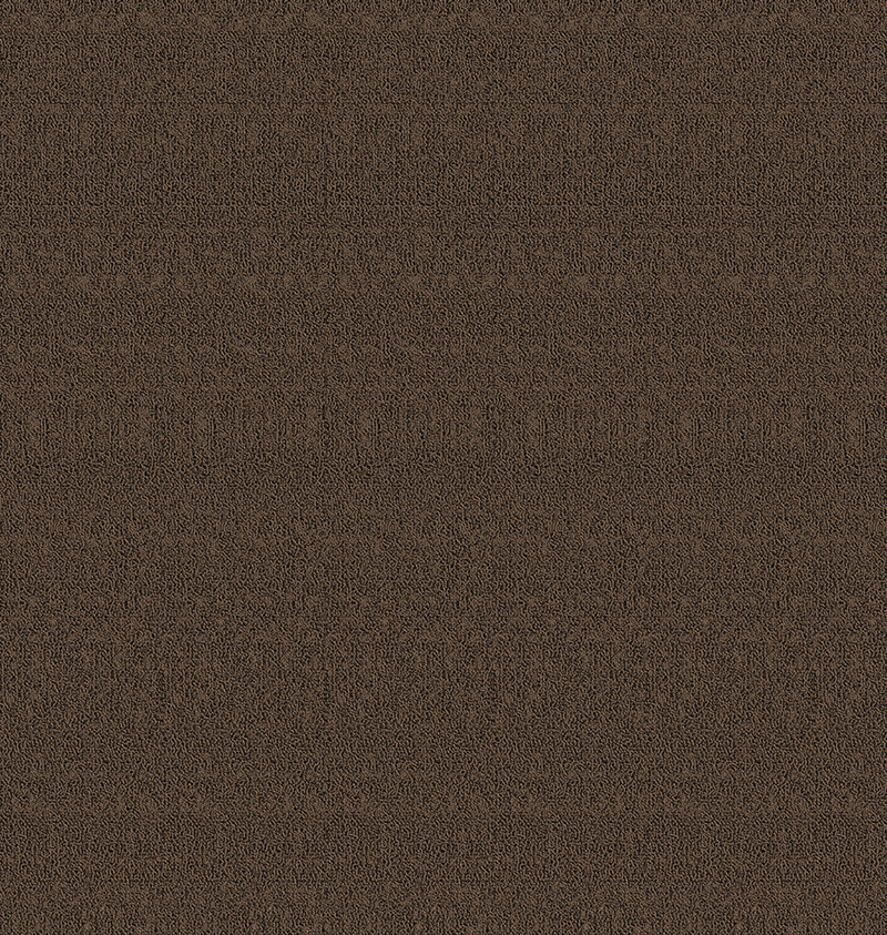 CTY00255.png