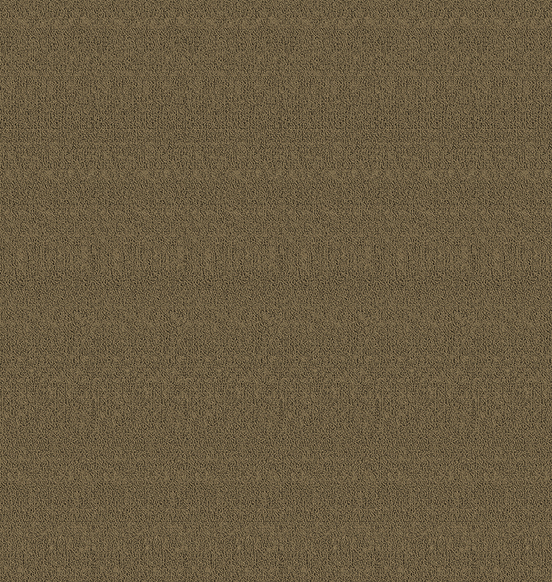 CTY00256.png