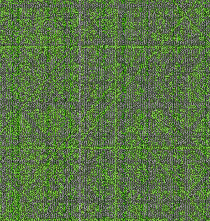CT001745-CA1177(001)_FOREST MOSS_2.jpg
