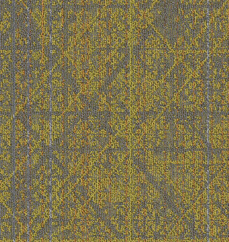 CT001746-CA1177(002)_MAIZE_1.jpg