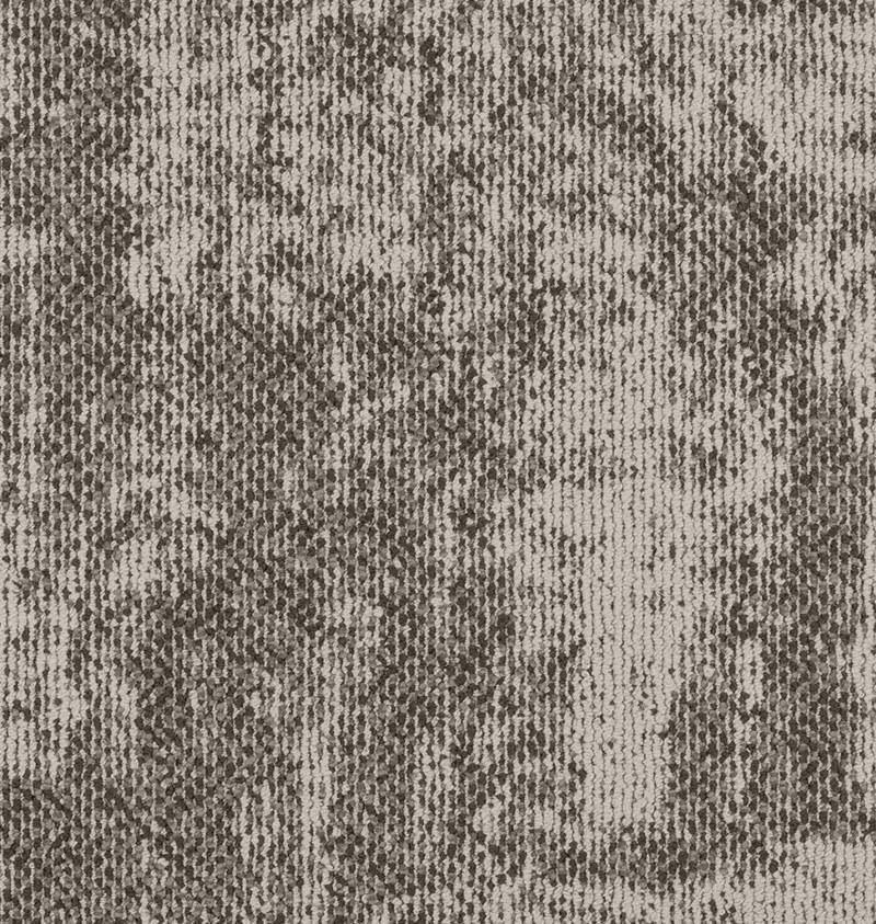 CT001883-2.png