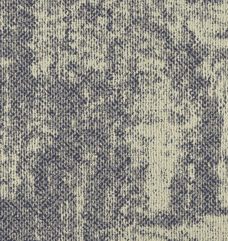 CT001888-2 (1).png