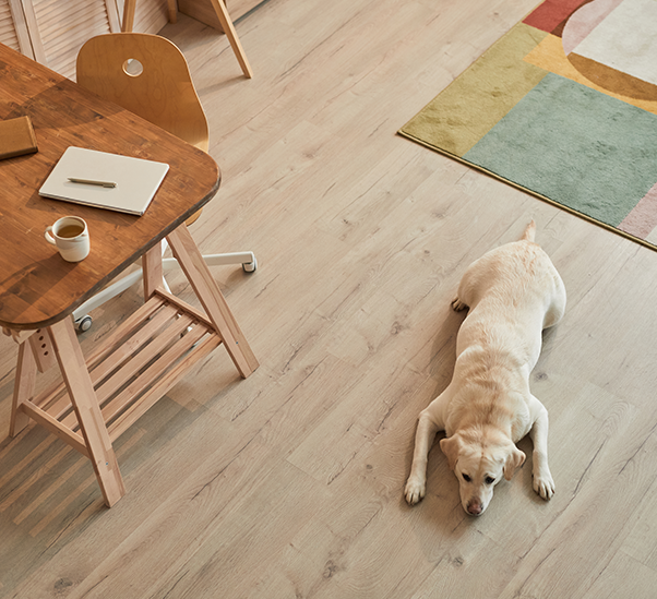 How_to_Choose_the_Best_Pet_friendly_Flooring_for_Dogs_e268c46f04