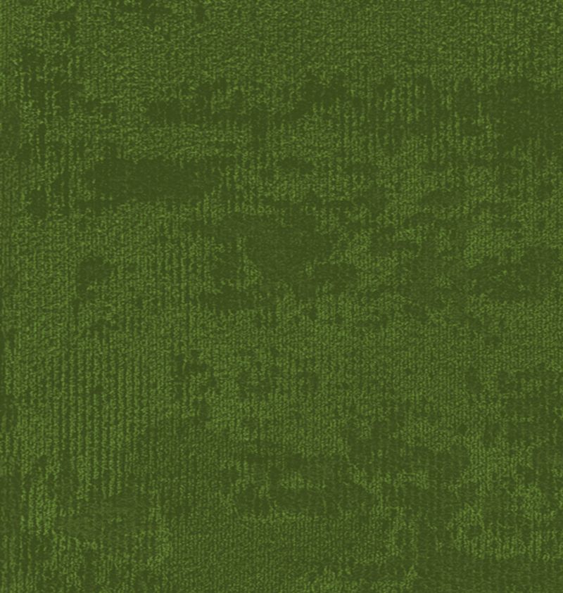 LATITUDE GREEN 1.jpg