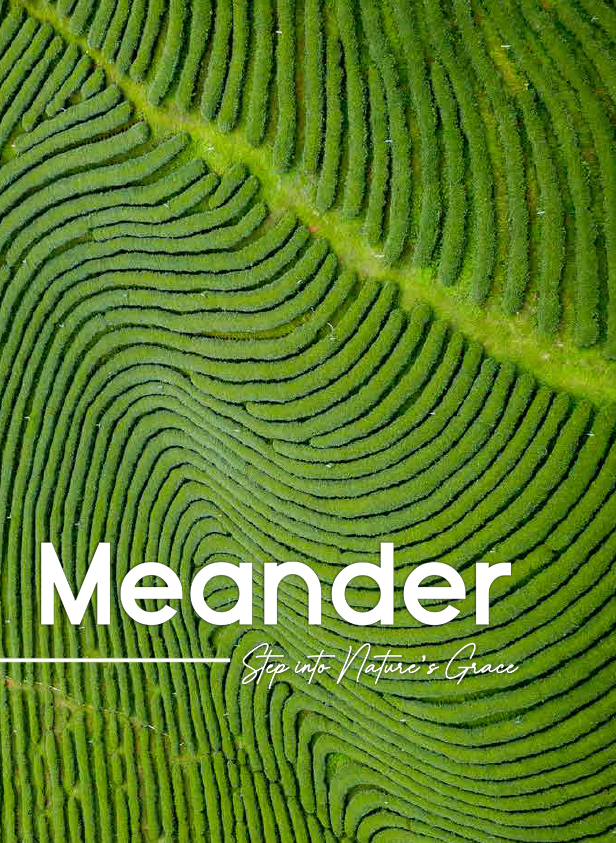 Meander_png_d0f5731d8f