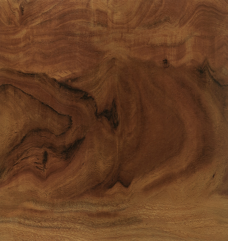 click-and-lock-wood-aristo-rosid-2