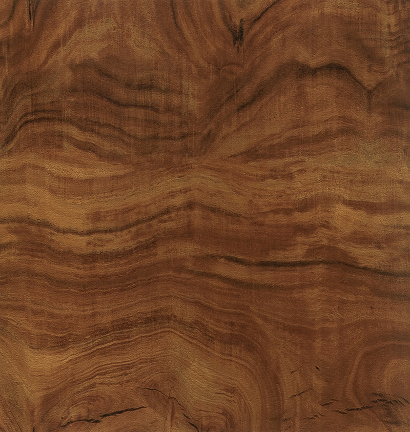 click-and-lock-wood-aristo-rosid-3