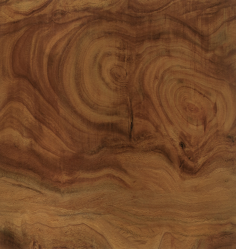 click-and-lock-wood-aristo-rosid-4