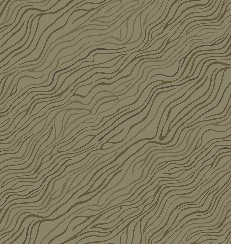 WA1368-001.jpg