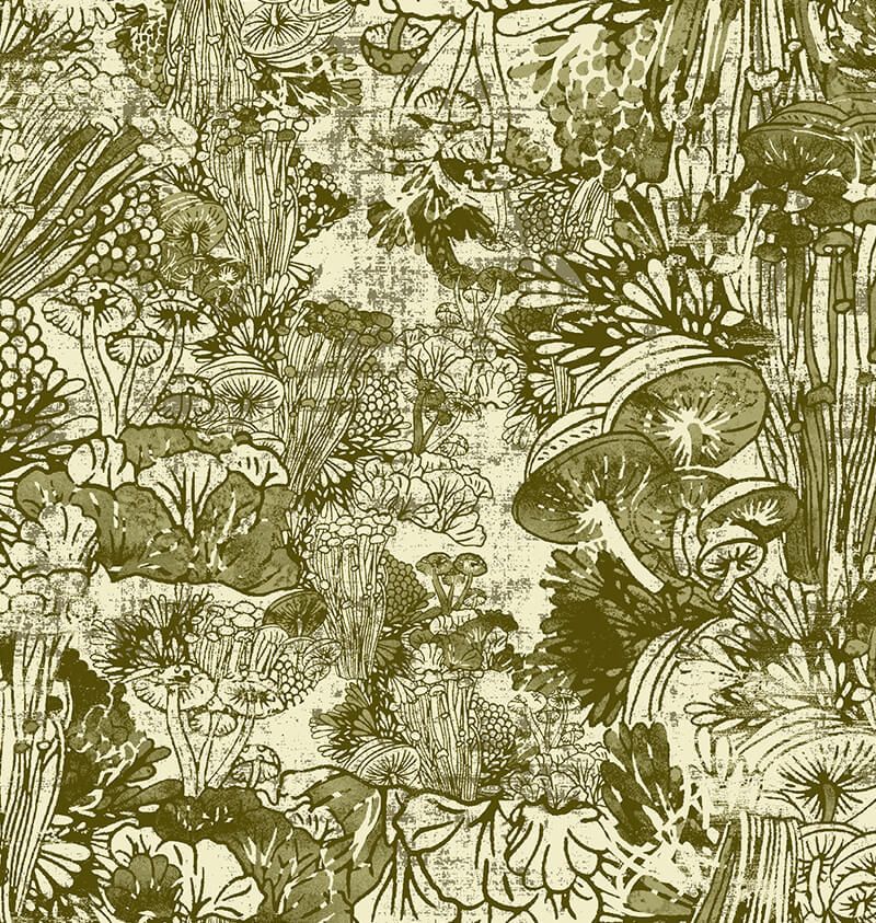 wall-to-wall-carpet-hypha-bourgeon-wa6651-004-1