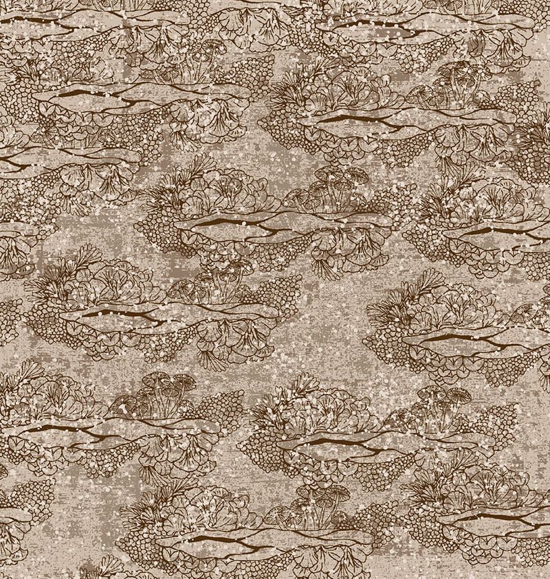 WA6660-001.jpg