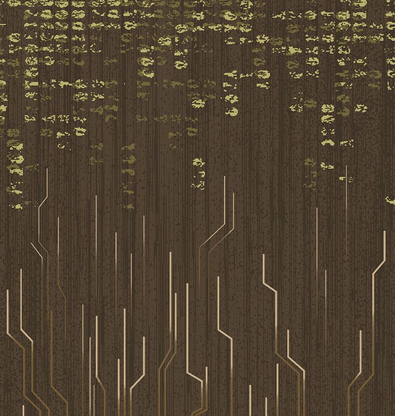 wall-to-wall-carpet-nexus-connect-wa6669-002-1
