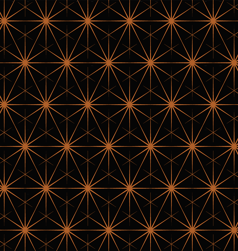 wall-to-wall-carpet-bioscope-bioscope-wa7874-001-1