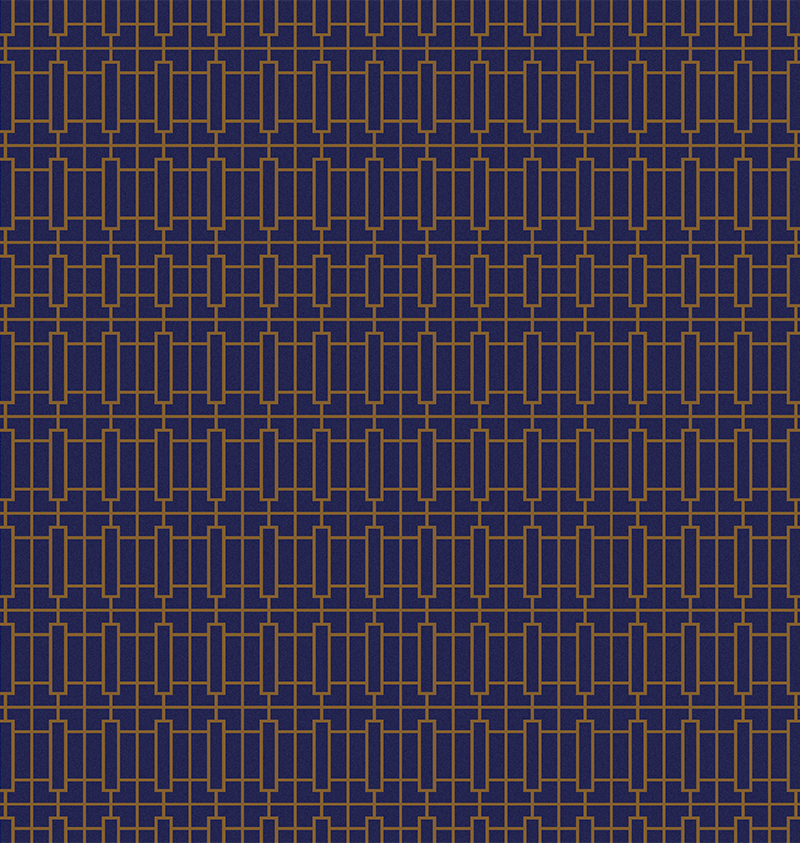 wall-to-wall-carpet-bioscope-bioscope-wa7881-002-1