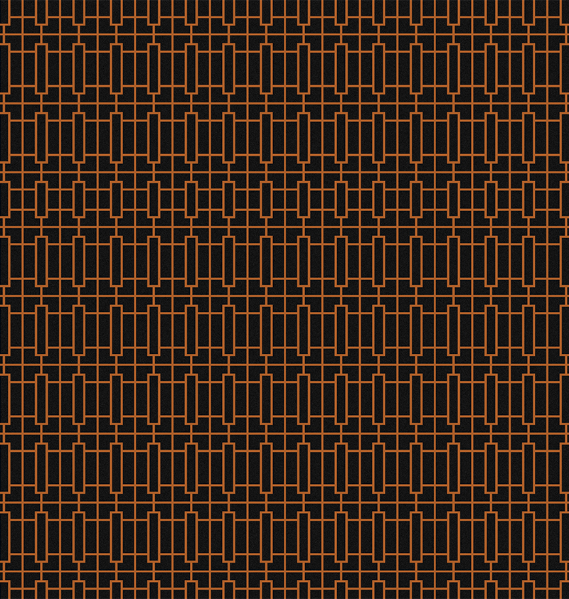 wall-to-wall-carpet-bioscope-bioscope-wa7881-003-1