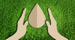 thumbnail_greens_3_1638096836_98ce77a47e_5d6373441a